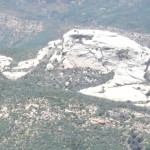 animal rock