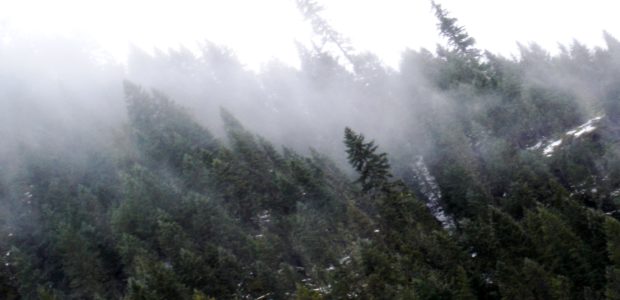 Since the time of the Louisiana Purchase, the people of the United States have worked to tame the Bitteroot Mountains of Idaho and Montana, but the rushing rivers and wandering wolves still retain the air of the wild.