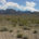 Cadiz Inc potentially lucrative groundwater mining proposal for the Mojave Desert intends to water lawns and pools for suburban Southern California at the expense of taxpayers and ultimately the desert ecosystem.