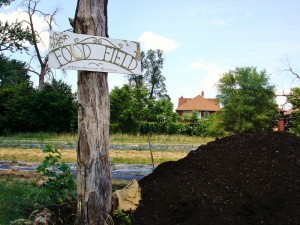 urban agriculture,Detroit Works