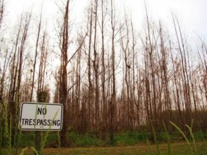 Global Justice Ecology Project