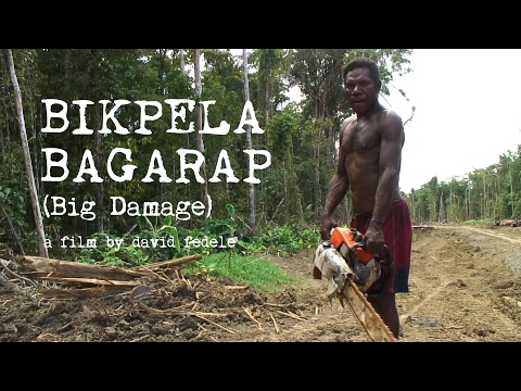 BIKPELA BAGARAP (Big Damage) - Illegal Logging in Papua New Guinea