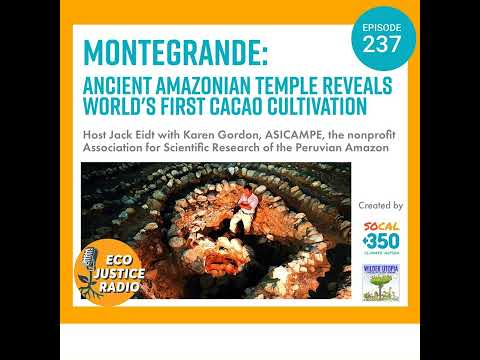 Montegrande: Ancient Amazonian Temple Reveals World&#039;s First Cacao Cultivation