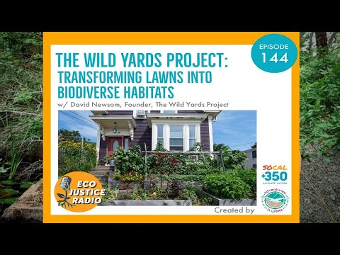 The Wild Yards Project: Transforming Lawns into Biodiverse Habitats - EcoJustice Radio