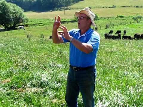 Joel Salatin of Polyface Farms discusses grass-fed cattle