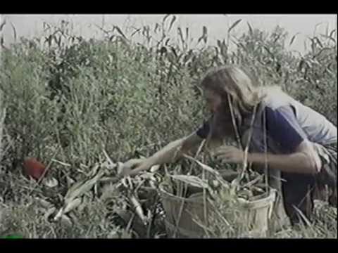 American Commune Trailer