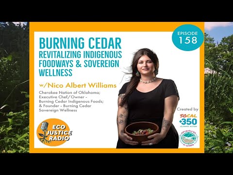 Burning Cedar with Nico Albert: Revitalizing Indigenous Food &amp; Sovereign Wellness - EcoJustice Radio