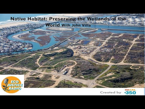 Native Habitat: Preserving the Wetlands of the World - EcoJustice Radio