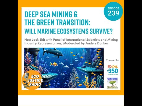 Deep Sea Mining and the Green Transition: Will Marine Ecosystems Survive?