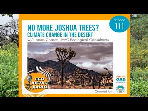 No More Joshua Trees - Climate Change in the Desert with Ecologist James Cornett - EcoJustice Radio