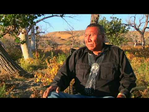 Chief Arvol Looking Horse Speaks of White Buffalo Prophecy