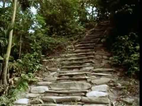 La Ciudad Perdida (The Lost City) | From the Heart of the World - The Elder Brother&#039;s Warning