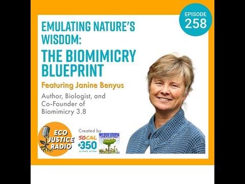 Emulating Nature&#039;s Wisdom: The Biomimicry Blueprint