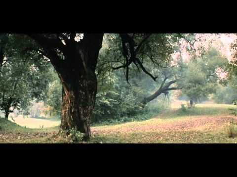 Solaris (1972) de Andrei Tarkovsky - Escena del pantano (escena inicial)