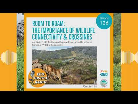 Room to Roam The Importance of Wildlife Connectivity &amp; Crossings - Ep. 126