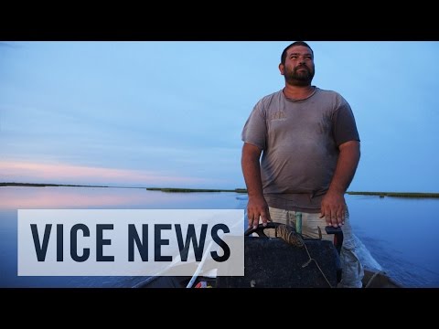 Louisiana&#039;s Disappearing Island (Excerpt from &#039;Oil and Water&#039;)
