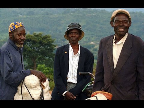 Delicious Peace Grows in a Ugandan Coffee Bean