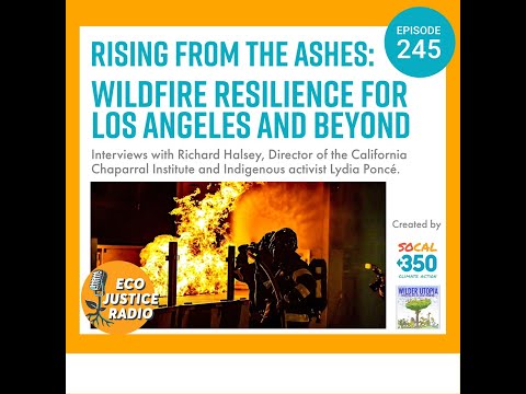 Rising from the Ashes: Wildfire Resilience for Los Angeles and Beyond