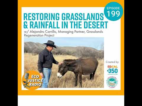 Restoring Grasslands &amp; Rainfall in the Desert with Alejandro Carrillo