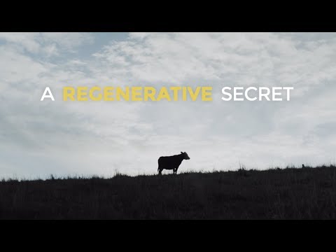 A Regenerative Secret - Kiss The Ground