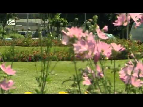 Andernach residents create a community garden | People &amp; Politics
