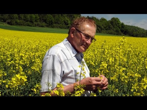 Percy Schmeiser - David versus Monsanto