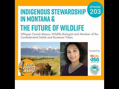 Indigenous Stewardship in Montana &amp; the Future of Wildlife