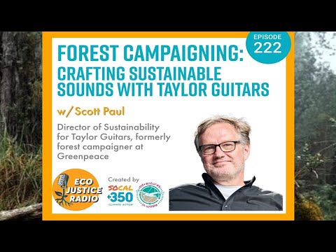 Forest Campaigning: Crafting Sustainable Sounds with Taylor Guitars