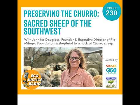 Preserving the Churro: Sacred Sheep of the Southwest