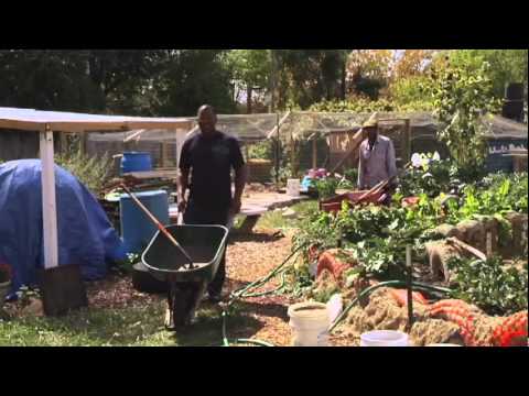 Urban Roots Trailer