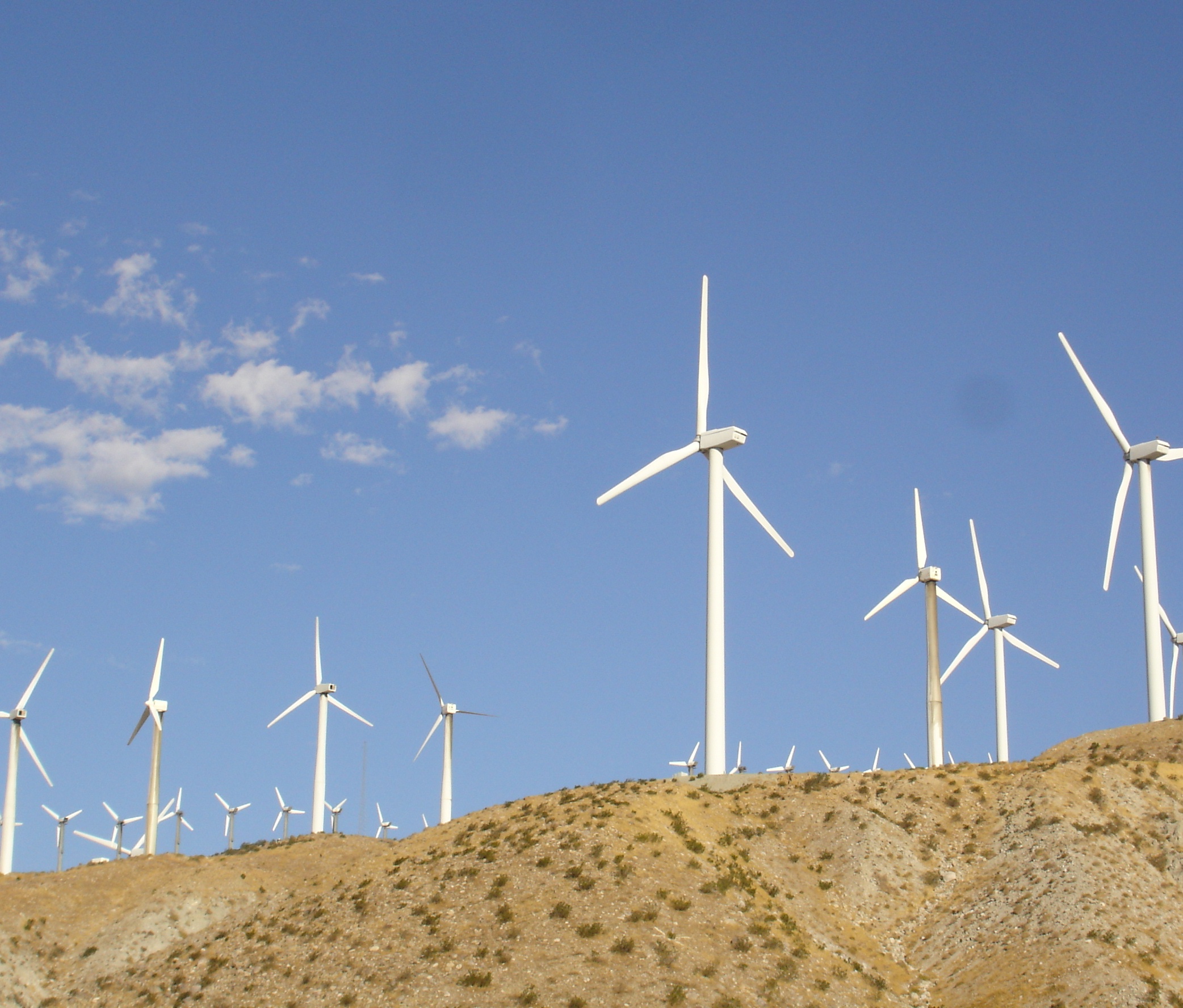 California Windmills by Jack Eidt