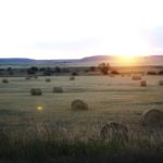 Thanksgiving in Montana,Crow Reservation