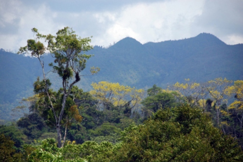Global Justice Ecology Project, climate change, REDD, REDD+, Lanadon, Rainforest, Chiapas, Mexico