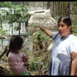 hydroelectric dam, Ngabe People of Panama