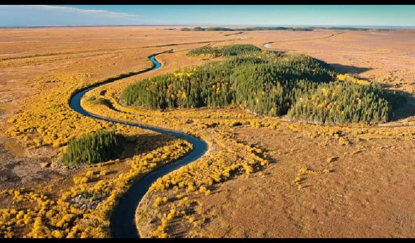 living off the land, wetlands, Athabascan Tar Sands, Alberta, Canada, boreal forest