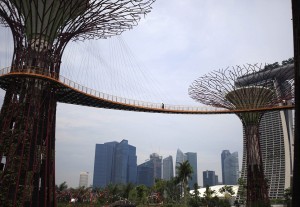Singapore's Ecological Urbanism