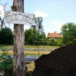 urban agriculture, Detroit Works