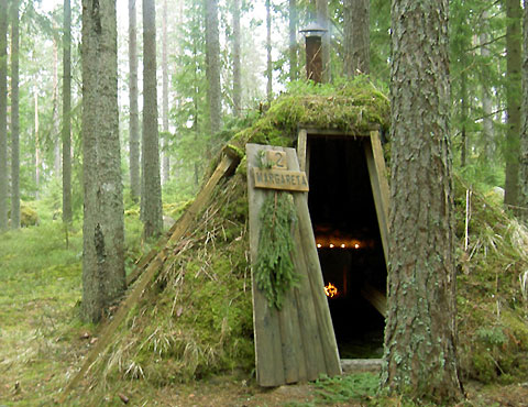 wild eco lodge, Sweden, ecotourism