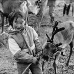 Reindeer People of Mongolia