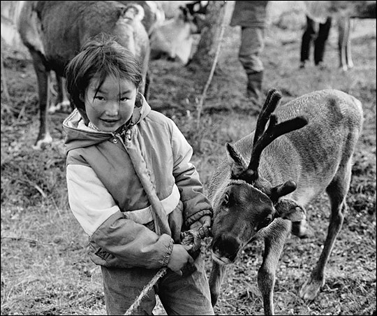 Reindeer People of Mongolia