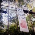 While bulldozers and diggers bashed a 50-foor-wide path for the Keystone XL pipeline, planned from Cushing, Oklahoma to Port Arthur, Texas, a group of tar sands blockaders have taken to the trees. 