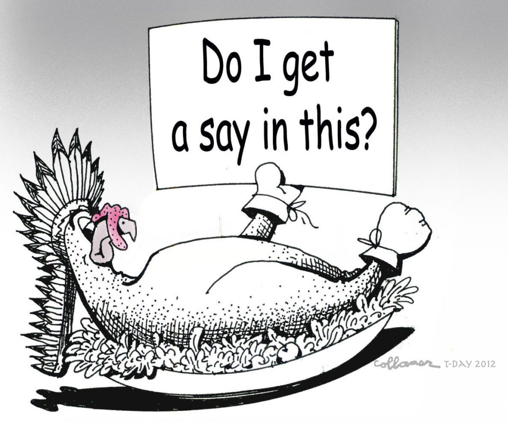 Thanksgiving Dinner of Turkeys