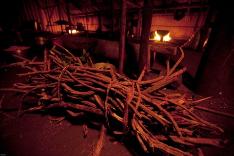 A bundle of ayahuasca, known to the Barasana as yage, one ingredient in the most powerful hallucinogenic preparation of the northwest Amazon, Rio Piraparana, Vaupes Department, Colombia, 2009. (Photo by Wade Davis/Getty Images)