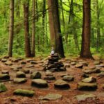 maze, Massachusetts woods, Amherst