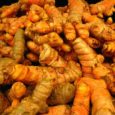 Turmeric grows wild in the forests of South and Southeast Asia and has been used in healing for 2,500 years. Aside from the holistic health community, Western medical practitioners have only recently come on board with a host of scientific studies that recognize the benefits of turmeric.