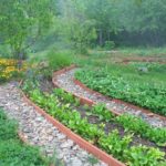 permaculture design, food security, revolution