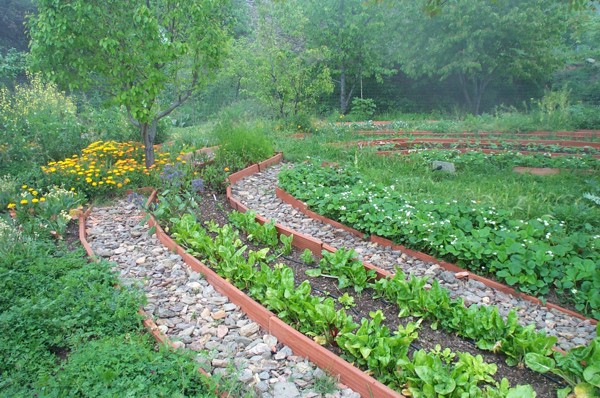 permaculture design, food security, revolution