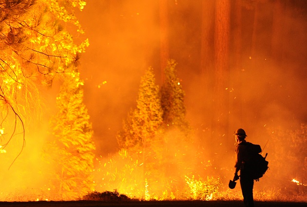 Yosemite National Park, wildfire, climate change