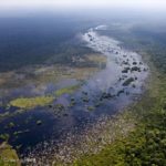 Indonesia, deforestation, peat swamp