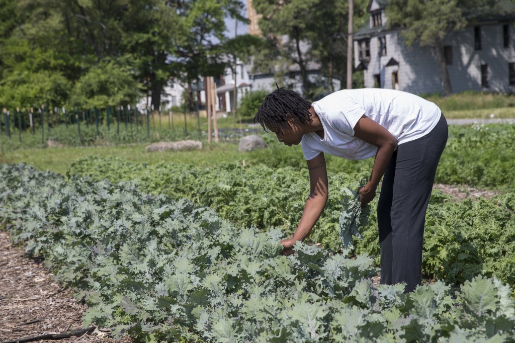 Detroit, urban farming